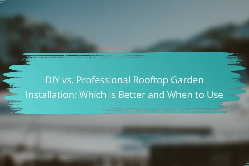 DIY vs. Professional Rooftop Garden Installation: Which Is Better and When to Use