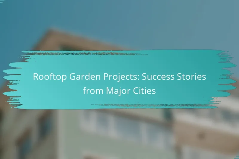 Rooftop Garden Projects: Success Stories from Major Cities