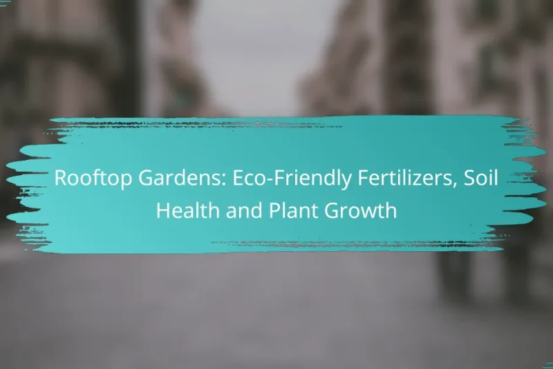 Rooftop Gardens: Eco-Friendly Fertilizers, Soil Health and Plant Growth