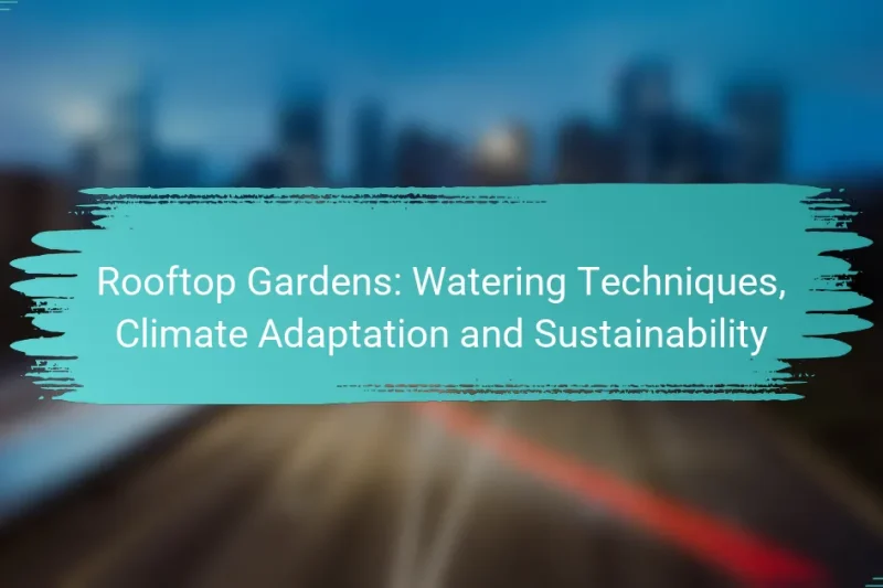 Rooftop Gardens: Watering Techniques, Climate Adaptation and Sustainability