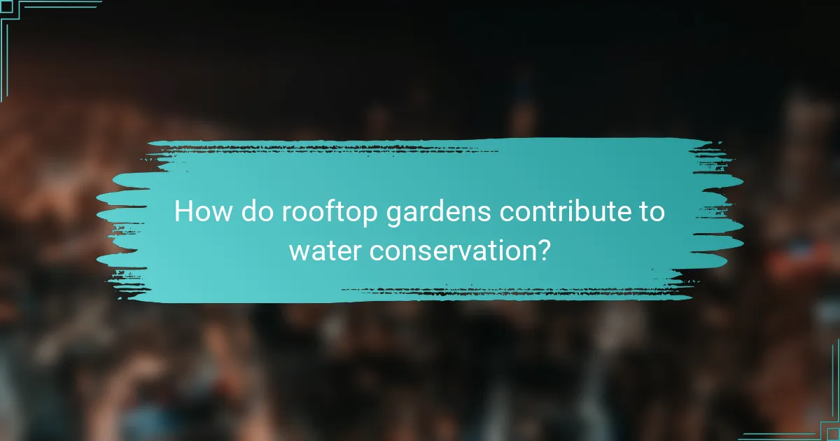 How do rooftop gardens contribute to water conservation?