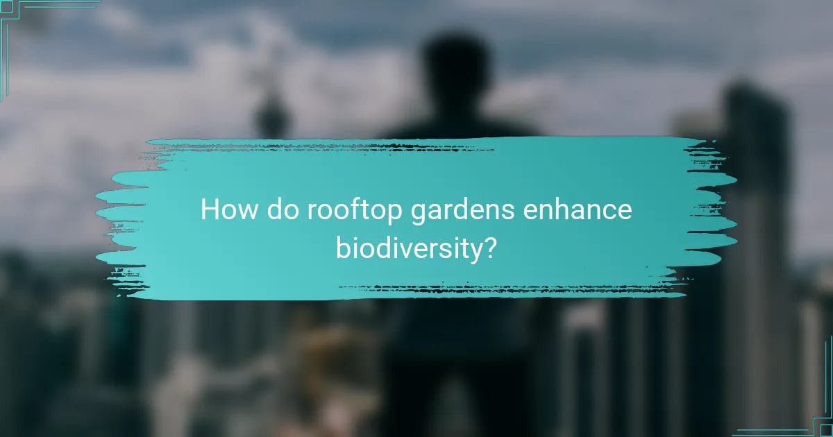 How do rooftop gardens enhance biodiversity?