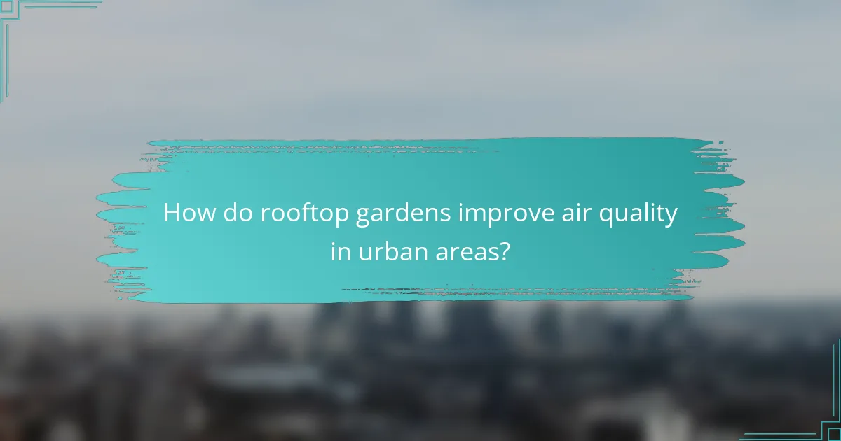 How do rooftop gardens improve air quality in urban areas?