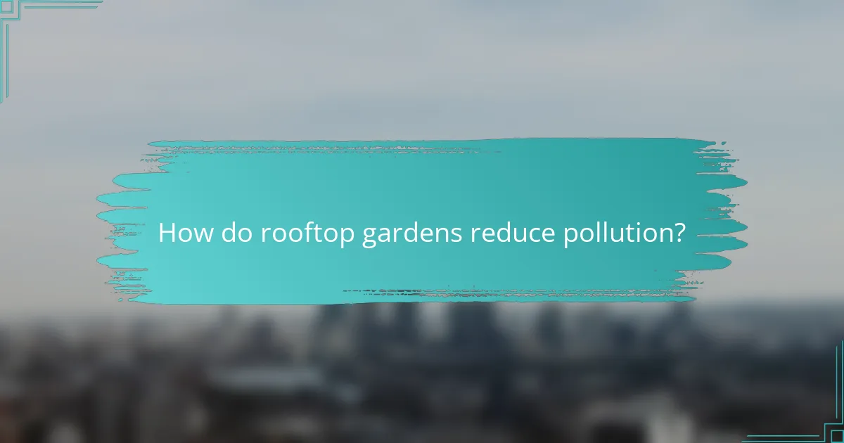 How do rooftop gardens reduce pollution?