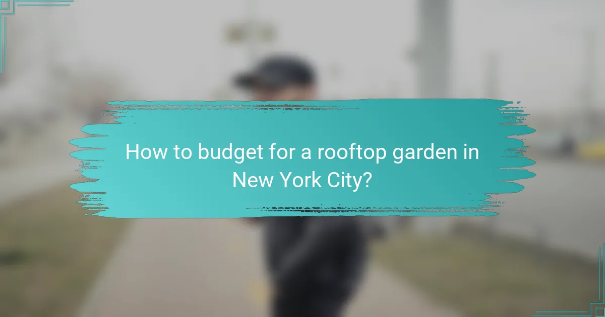 How to budget for a rooftop garden in New York City?