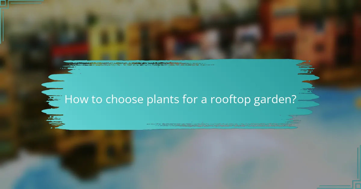 How to choose plants for a rooftop garden?
