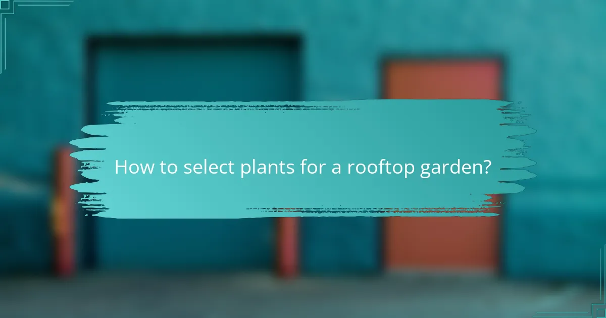 How to select plants for a rooftop garden?