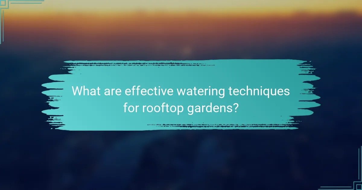 What are effective watering techniques for rooftop gardens?