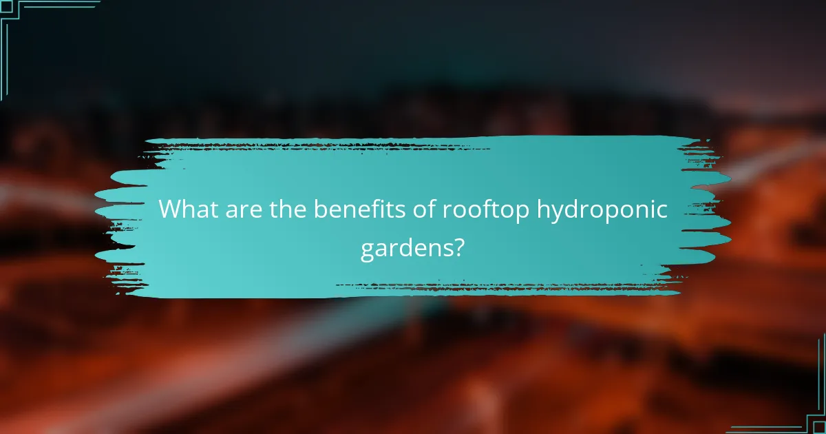 What are the benefits of rooftop hydroponic gardens?