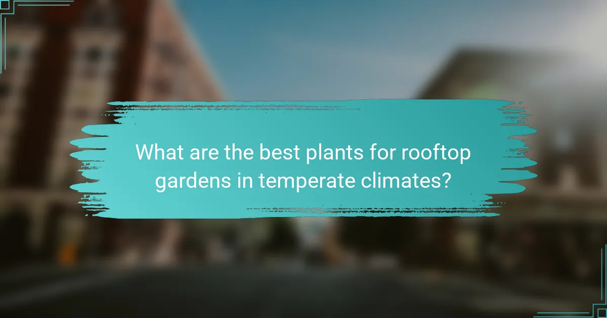 What are the best plants for rooftop gardens in temperate climates?