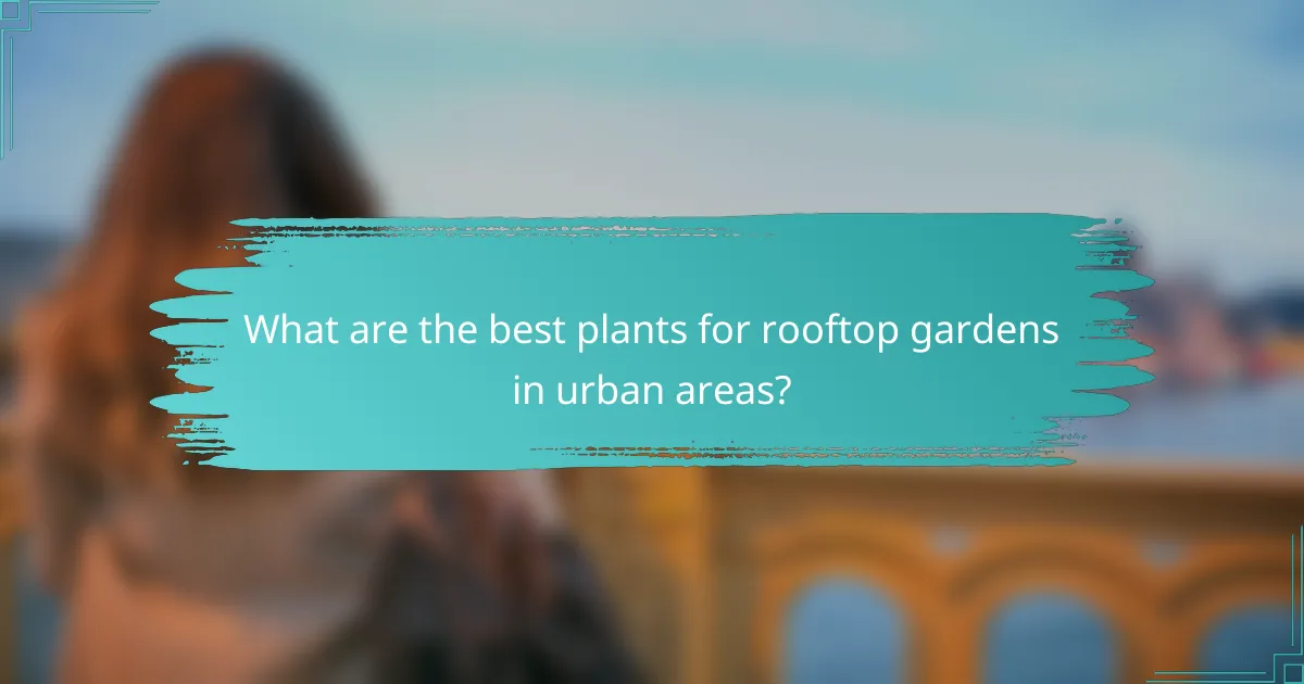 What are the best plants for rooftop gardens in urban areas?