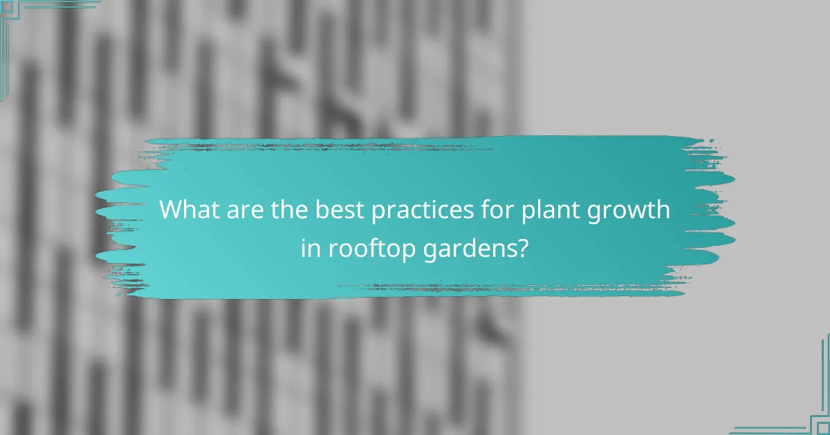 What are the best practices for plant growth in rooftop gardens?