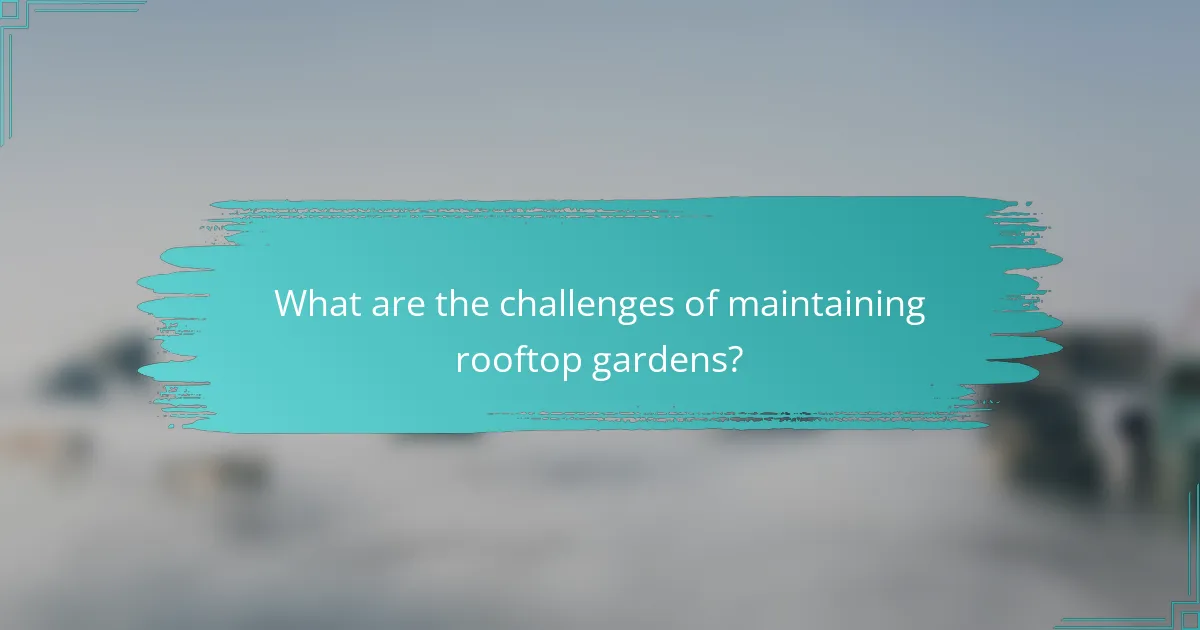 What are the challenges of maintaining rooftop gardens?