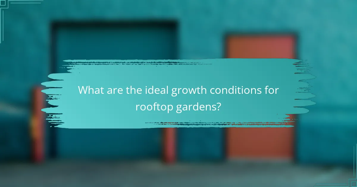 What are the ideal growth conditions for rooftop gardens?