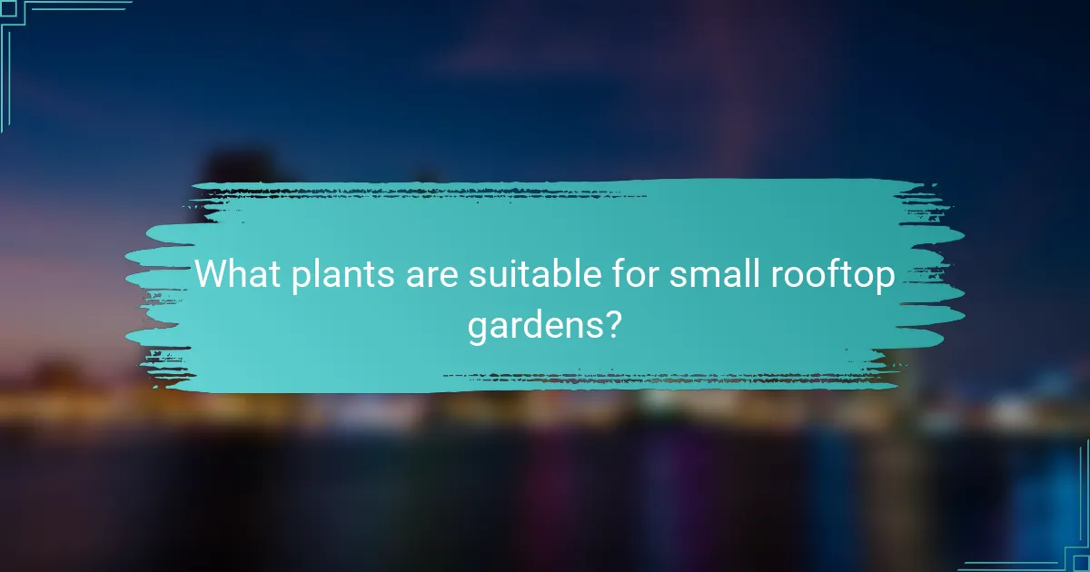 What plants are suitable for small rooftop gardens?